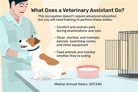 Careers. Animals. Overview. What does a veterinary assistant do? 76% Match? Would you make a good veterinary assistant? Take our career test and find your match with …